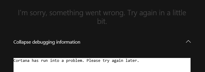 Cortana has run into a problem. Please try again later.